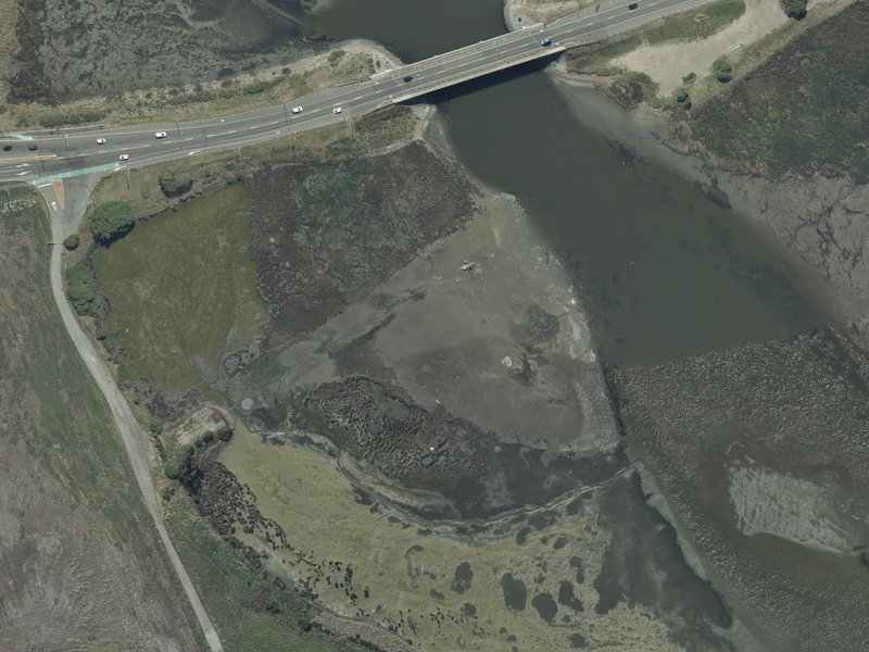 aerial view of Rat Island Reserve and the ground around it