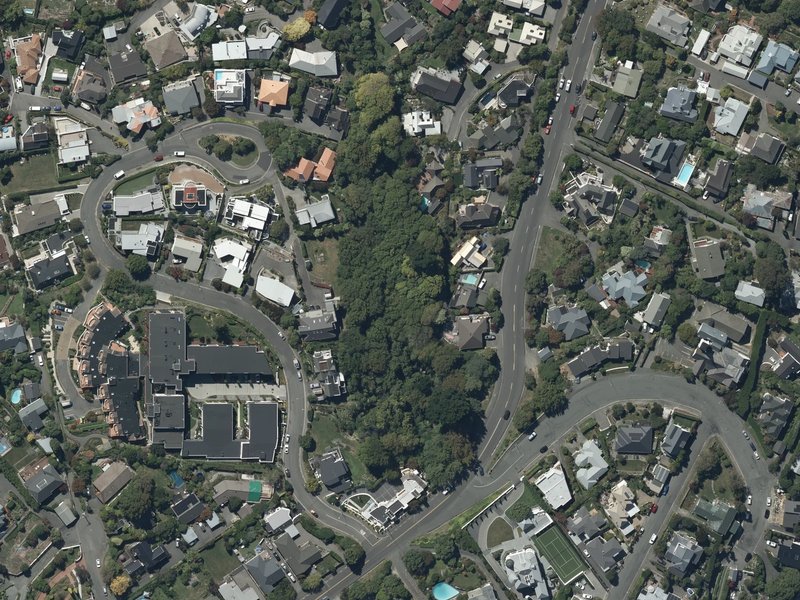 aerial view of Purau Reserve and the ground around it