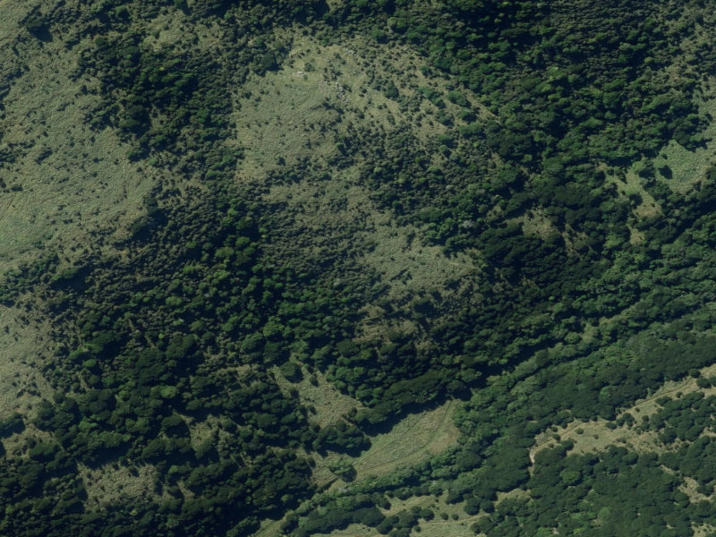 aerial view of Te Oka Reserve and the ground around it