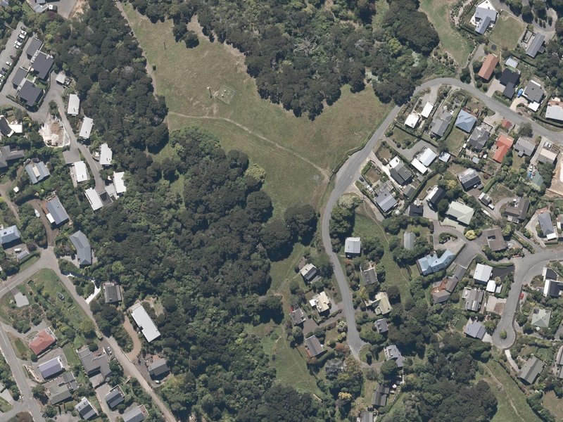 aerial view of Stanley Park and the ground around it