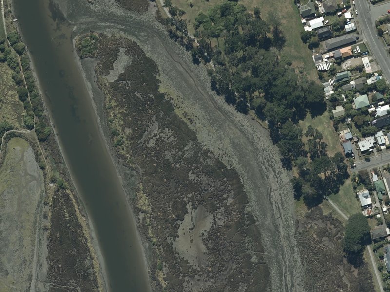 aerial view of Blighs Garden and the ground around it
