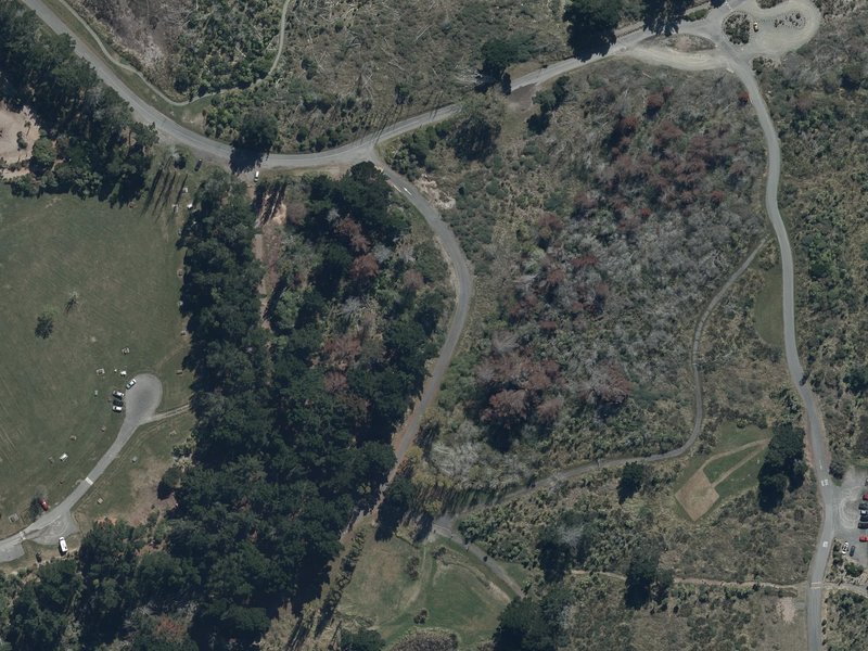aerial view of Spencer Park and the ground around it