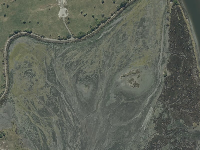 aerial view of Bexley Wetland and the ground around it