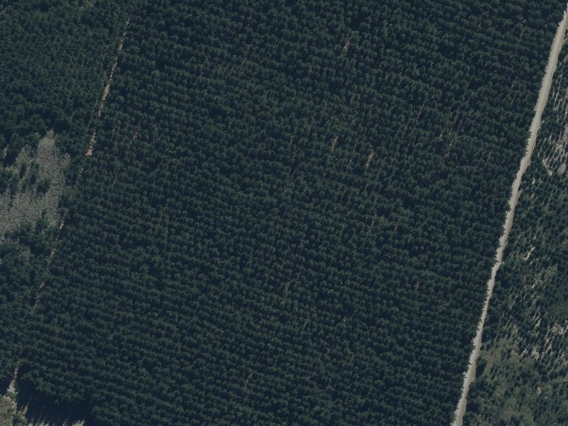 aerial view of Chaneys Plantation and the ground around it