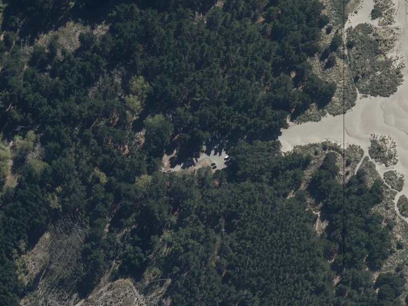 aerial view of Pines Beach and the ground around it