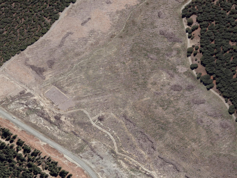 aerial view of Lake Tekapo Regional Park and the ground around it