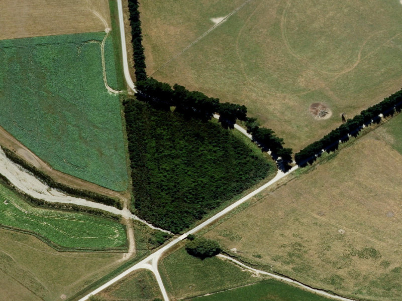 aerial view of Larch and the ground around it