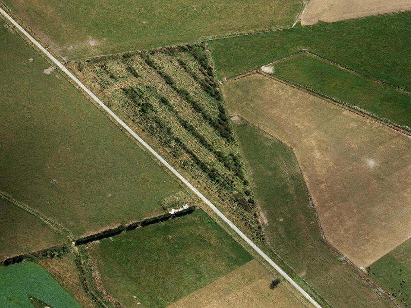 aerial view of Thews and the ground around it