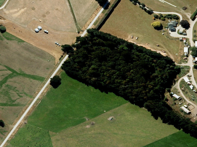 aerial view of Mcdonalds and the ground around it