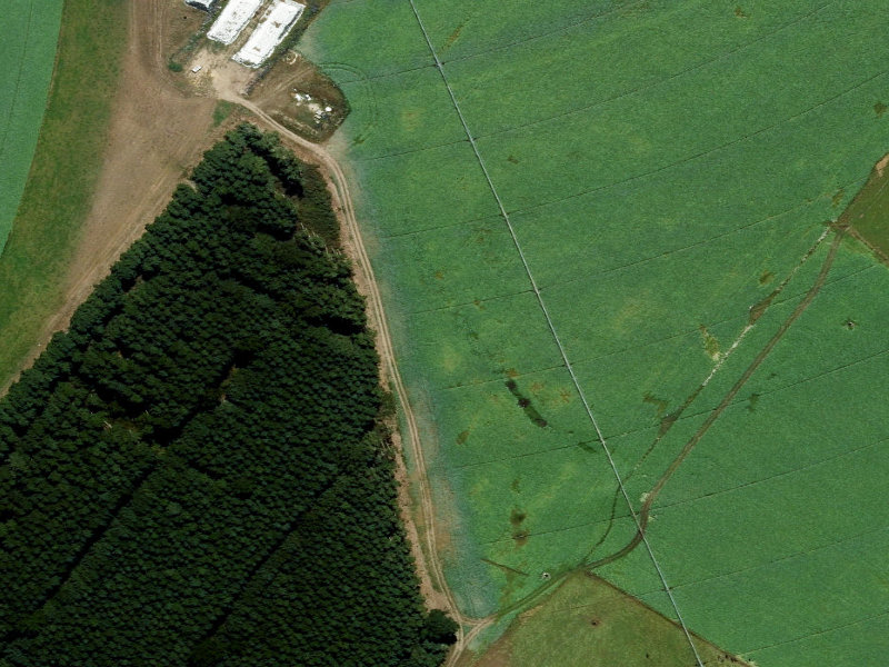 aerial view of Cains and the ground around it