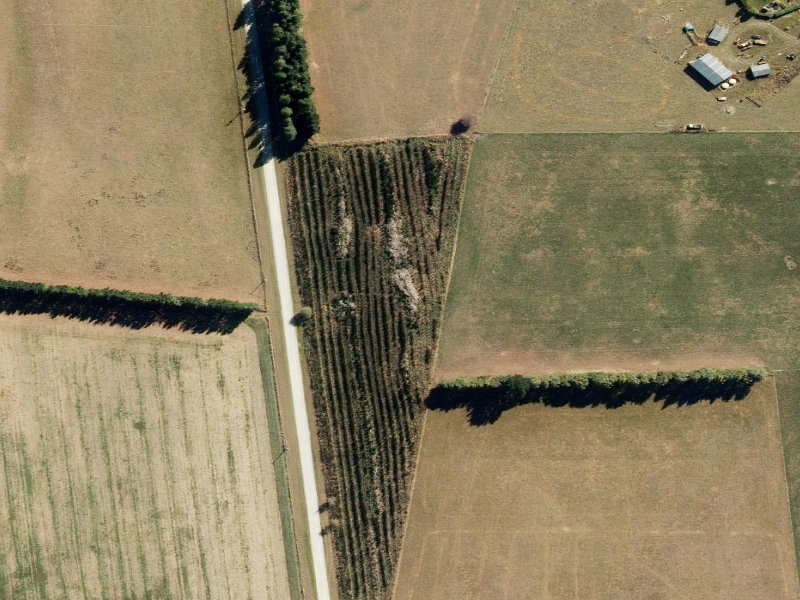 aerial view of Pratts and the ground around it
