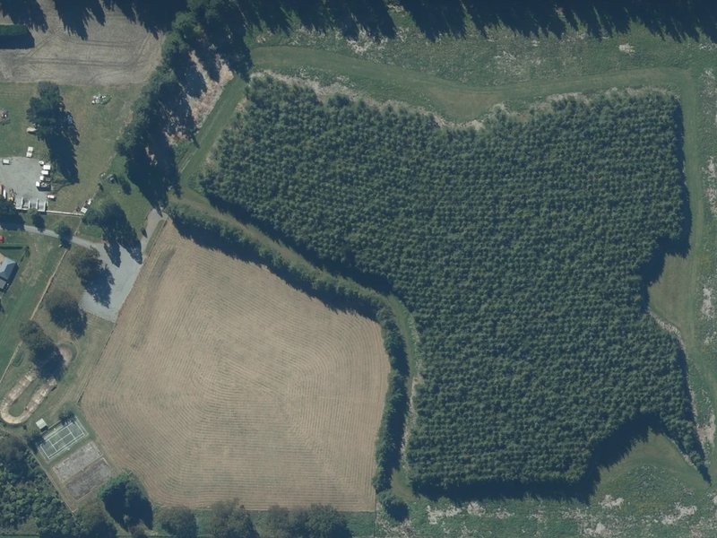 aerial view of Coalgate Reserve and the ground around it