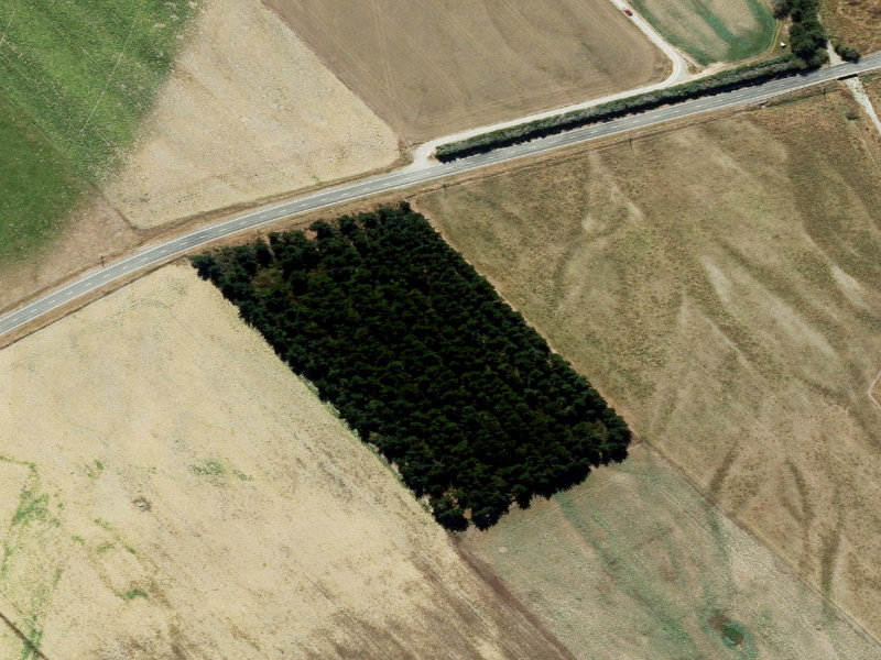 aerial view of Bruces and the ground around it