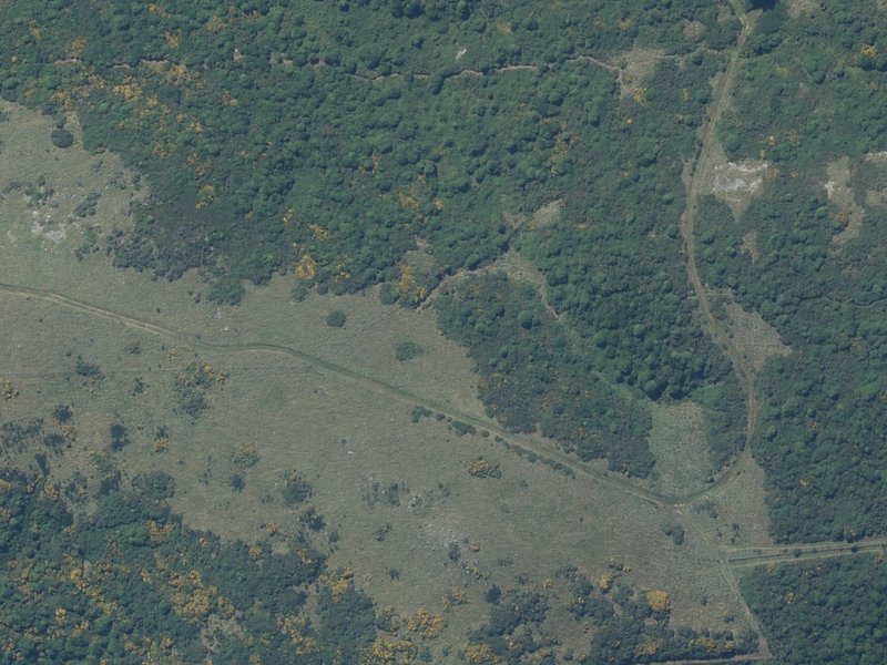 aerial view of Otahuna and the ground around it