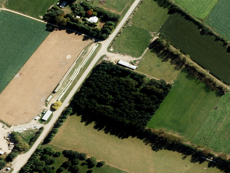 aerial view of Taits and the ground around it