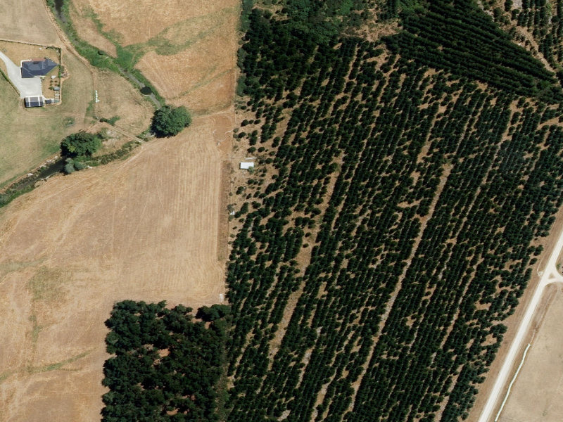 aerial view of Nursery and the ground around it