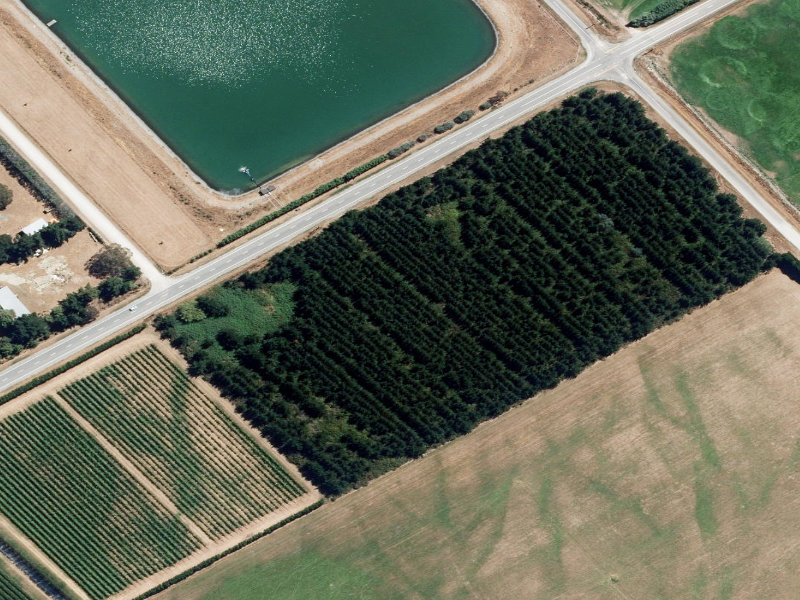 aerial view of Pakihi and the ground around it