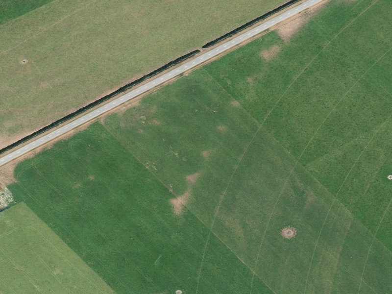 aerial view of Fitzgerald and the ground around it