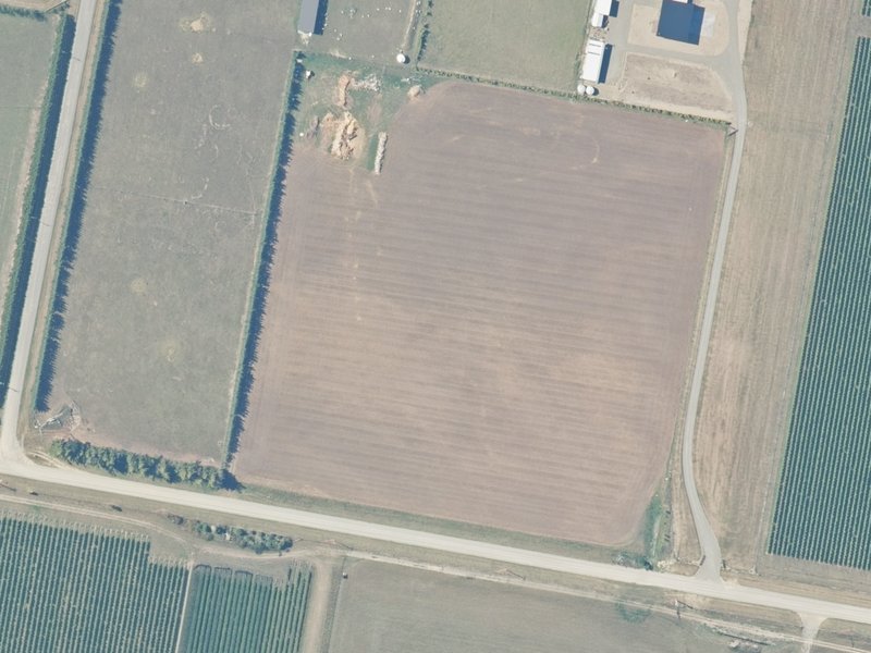 aerial view of Purchas Reserve and the ground around it