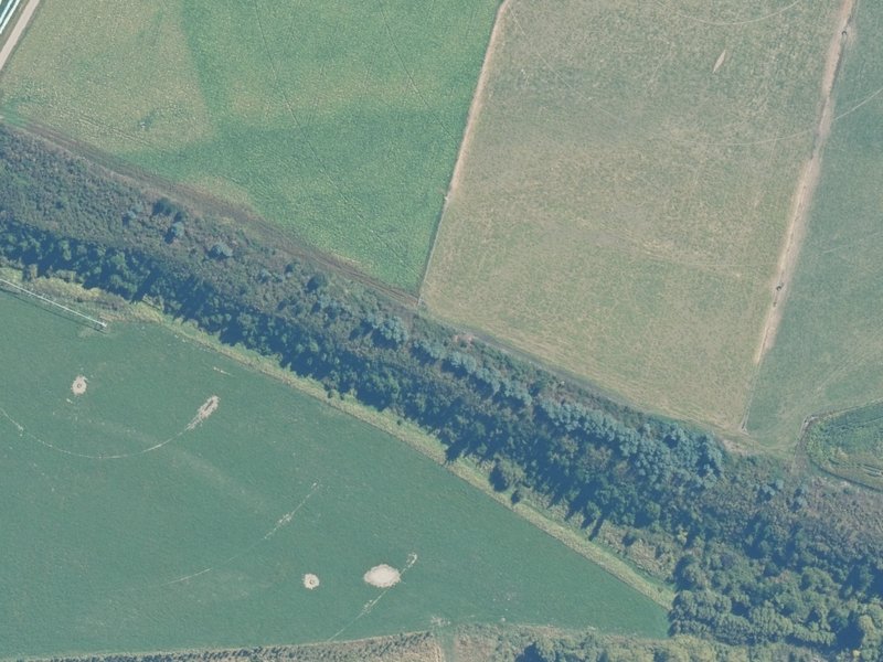 aerial view of Darrochs Road Plantation Reserve and the ground around it