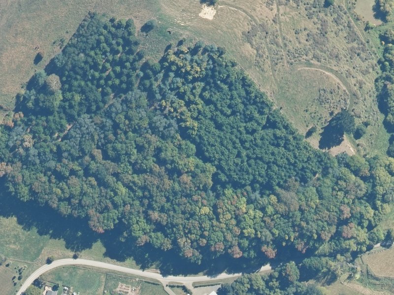 aerial view of Findlays Plantation and the ground around it