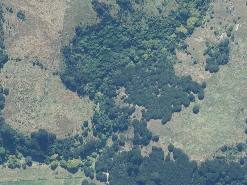 aerial view of Rock Quarry Reserve and the ground around it