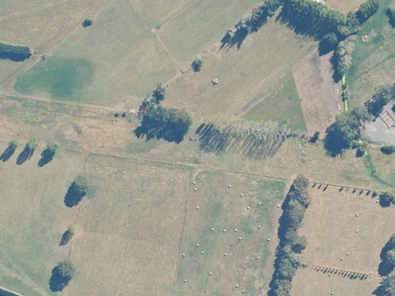 aerial view of Ward Road Reserve and the ground around it