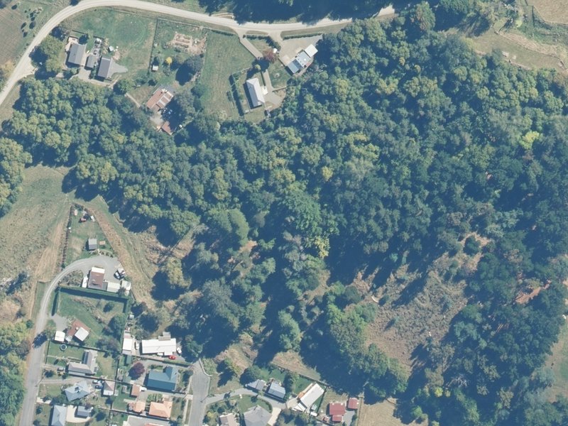 aerial view of Specimen Plantation Reserve and the ground around it
