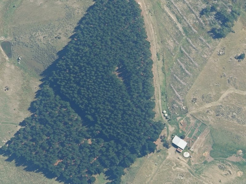 aerial view of Kintail Plantation and the ground around it