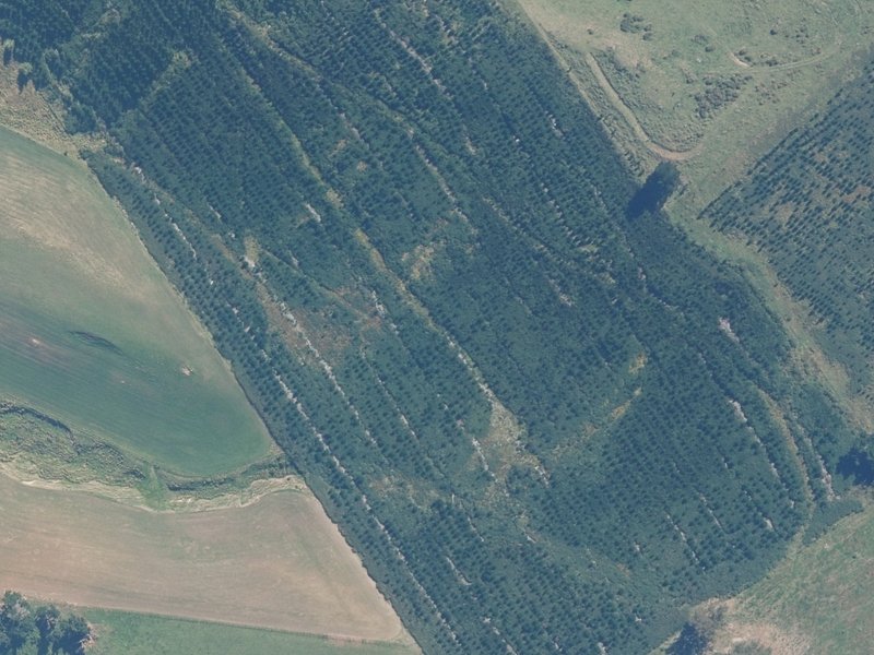 aerial view of Waikari Hill Plantation and the ground around it