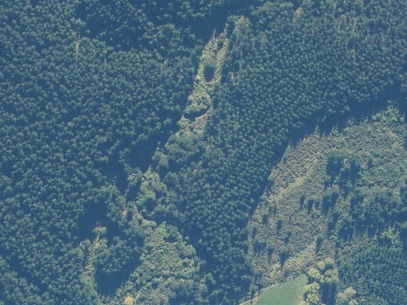 aerial view of Karetu Esplanade Reserve and the ground around it
