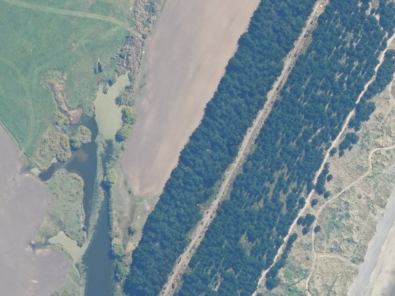 aerial view of Leithfield Beach Reserves and the ground around it