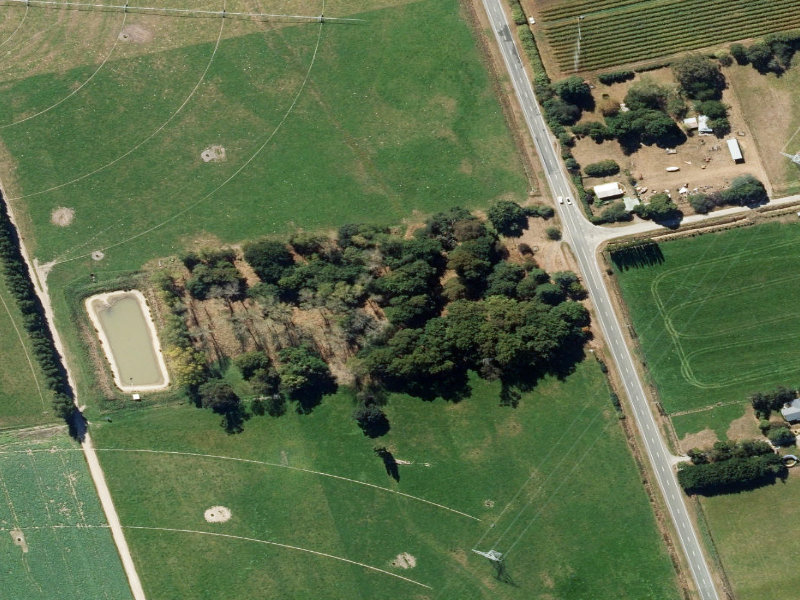 aerial view of Sheeds Plantation Reserve and the ground around it