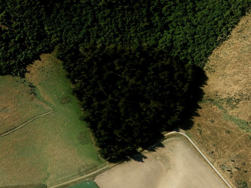 aerial view of Claremont Bush and the ground around it