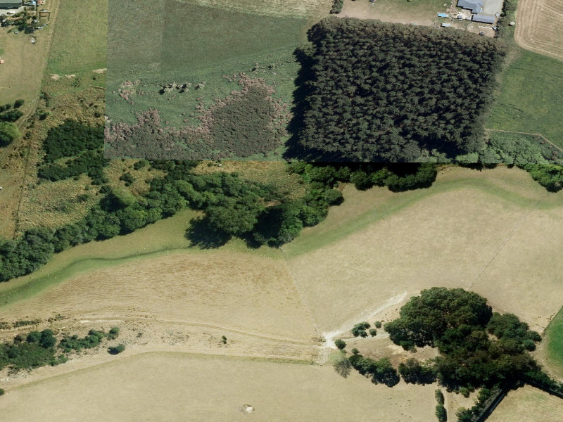 aerial view of Esplanade Reserve and the ground around it