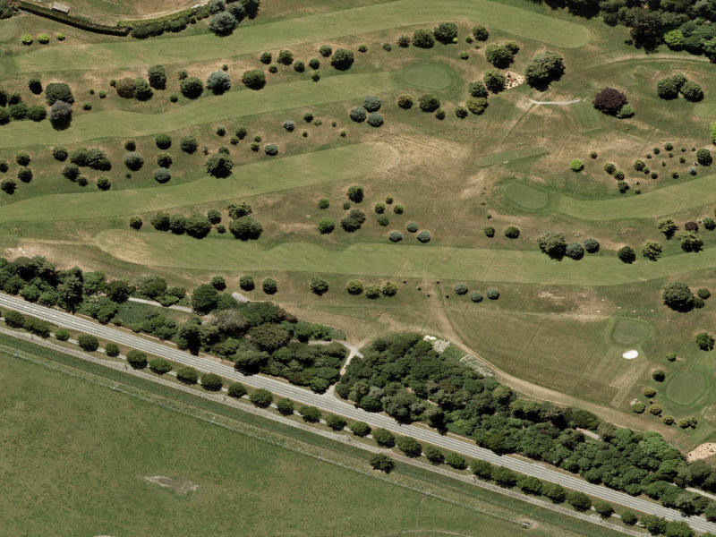 aerial view of Pleasant Point Domain Tree Areas and the ground around it