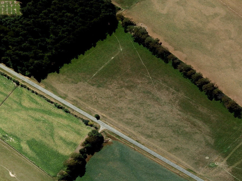 aerial view of Woodbury Domain and the ground around it