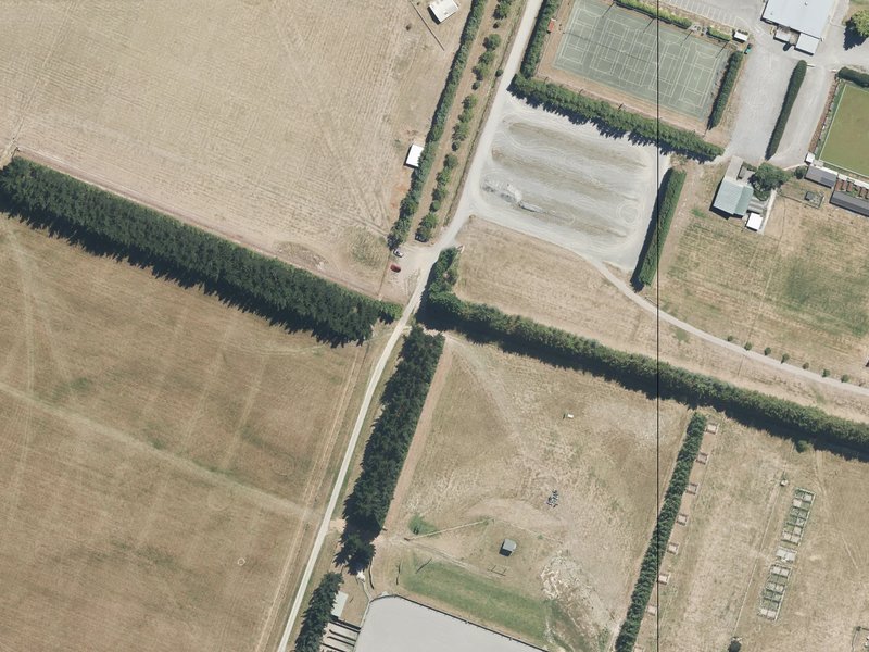 aerial view of Mandeville Domain and the ground around it