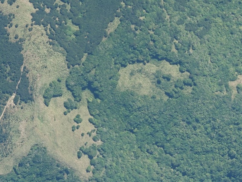 aerial view of Reserve, Kaikoura and the ground around it