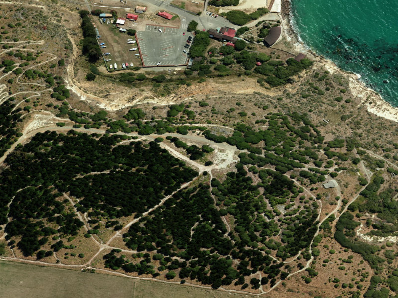 aerial view of Wanbrow Reserve and the ground around it