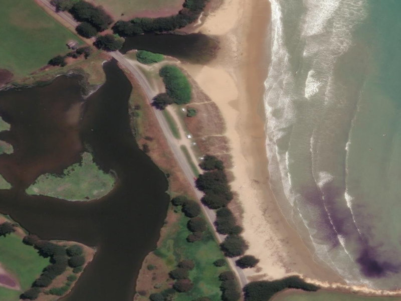 aerial view of All Day Bay Reserve and the ground around it