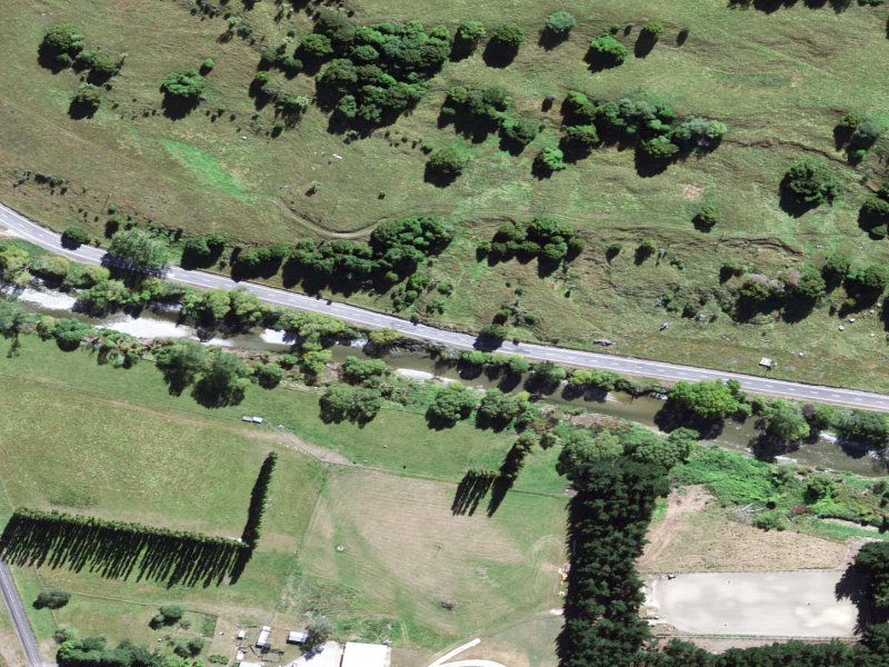 aerial view of Waianakarua Reserve and the ground around it