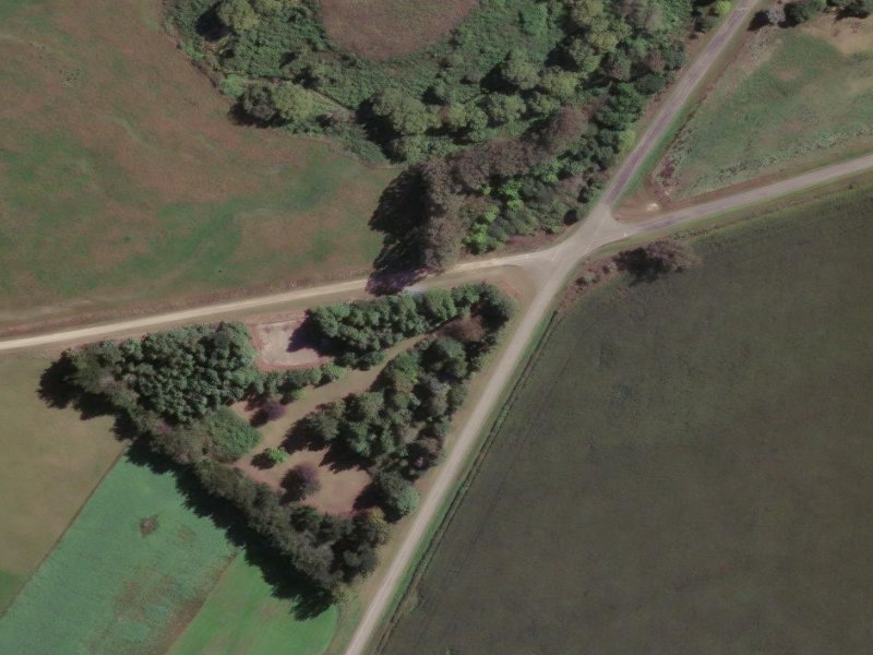 A Christchurch park from the air
