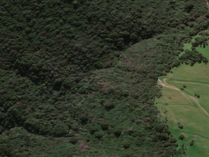 aerial view of Mt Nimrod Scenic Reserve and the ground around it