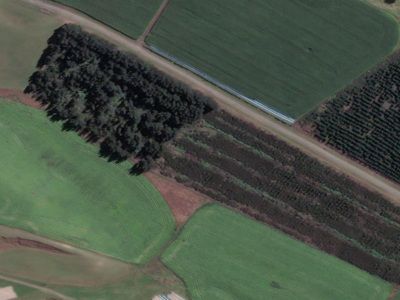 aerial view of Plantation Reserve and the ground around it