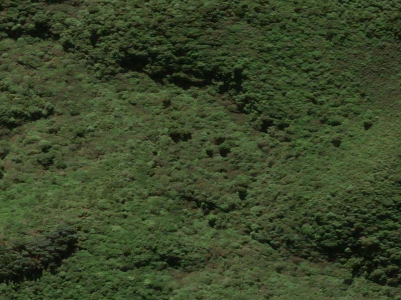 aerial view of Recreation Reserve and the ground around it