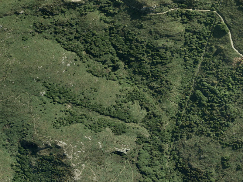 aerial view of Whakaraupo Reserve and the ground around it