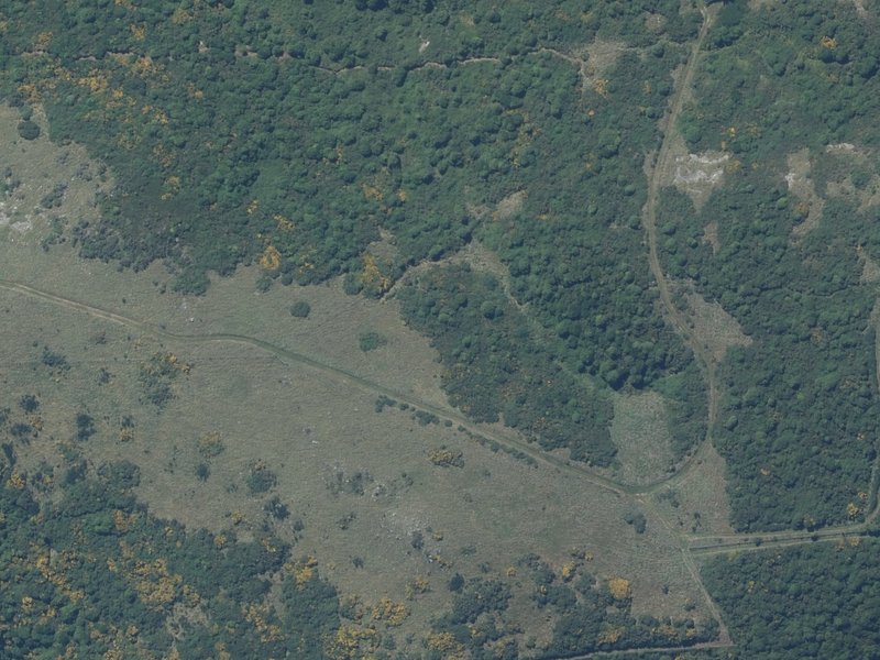 aerial view of Otahuna Reserve and the ground around it