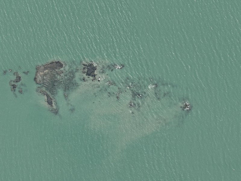 aerial view of Kamautaurua Island and the ground around it