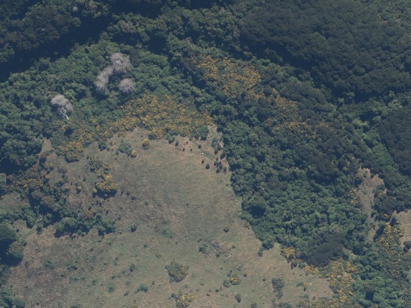aerial view of Frank Worsley's Homestead and the ground around it